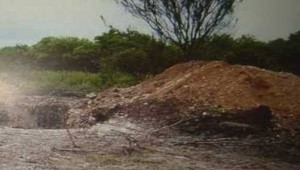 Los cuerpos fueron encontrados maniatados y con huellas de tortura.