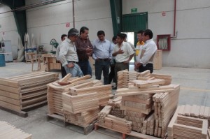 Complejo forestal de Ixtlán