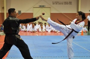 Exhibición de Tae Kwon Do