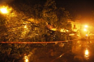 Daño la estatua del general Antonio de León