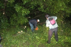 Lluvia y fuertes vientos