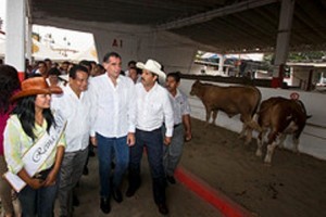 Gobernador del estado