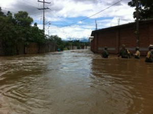 Caida de árboles y encharcamientos