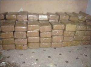 Pesa casi dos toneladas