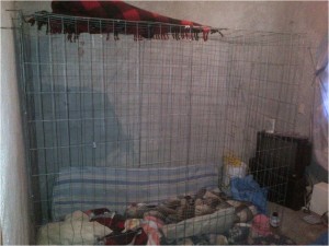 Jaula de secuestradores 