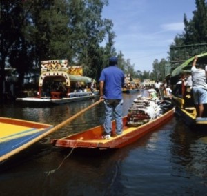 Protegen patrimonio mundial