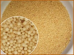 Impulsan potencial de la semilla