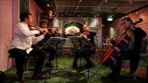 Agrupación de jóvenes de Hungría