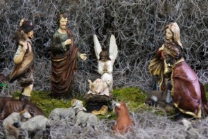 El periodo de inscripción concluye el 3 de diciembre de 2012