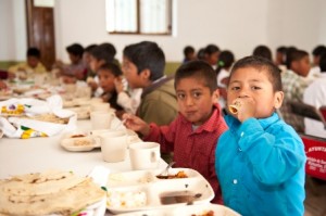 Instaladas en 378 municipios