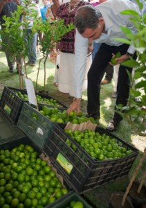 Gobernador de Oaxaca