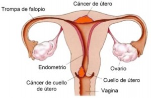 Recomiendan autocuidado y papanicolau