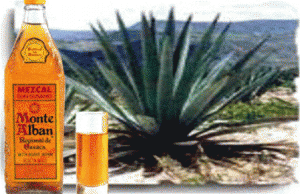 Mezcal