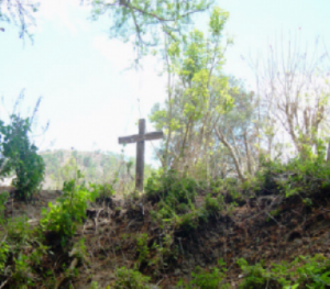 Denuncian hostigamiento