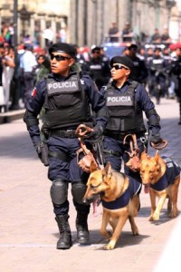 Delegación Benito Juárez