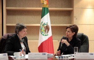 Administradora del PNUD - titular de la Sedesol