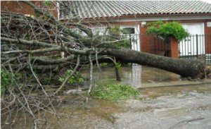 Fuertes rachas de viento