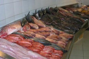 Verificación sanitaria