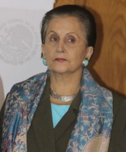 Titular del Instituto Nacional de Desarrollo Social