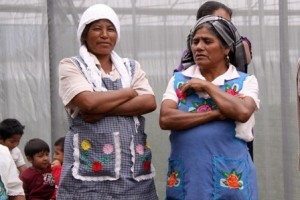 Comunidades indígenas y migrantes