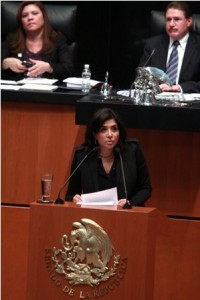 Senadora por el Partido de la Revolución Democrática