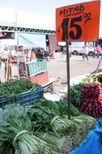 Urge encontrar alternativas