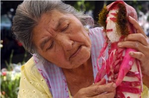 Sigue abierta la convocatoria