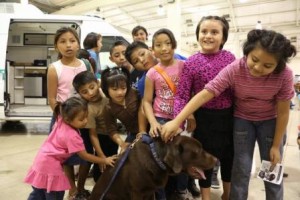 Concluye en Mérida, Yucatán