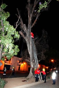 Paseo Juárez "El Llano"