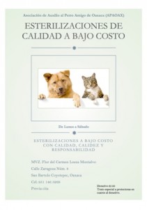 Perros y gatos