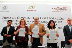 Subprocuradora de PRODECON - Presidente municipal