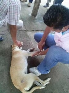 Convocan a la ciudadanía