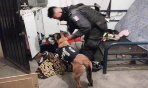 Tres vehículos asegurados