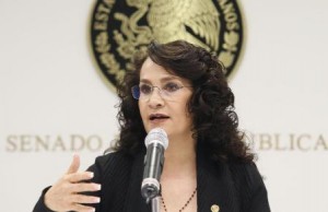 Vicecoordinadora del Grupo Parlamentario del PRD