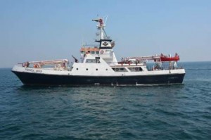 Contemplan reactivar la producción en ciertos campos maduros