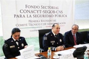 Seguridad Pública nacional