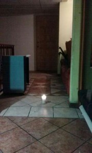 Anuncio de peritos argentinos