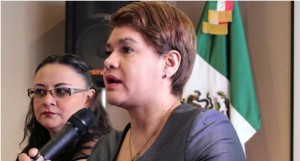 Visitadora adjunta de la Comisión Nacional de Derechos Humanos