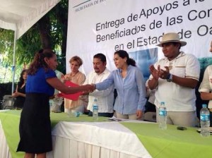 Delegada de la Secretaría de Economía