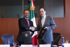 Secretario ejecutivo de CONEVAL - Director ejecutivo de AMEXCID