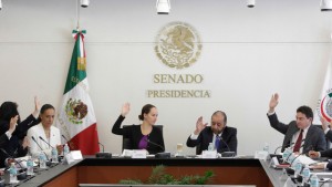 Senado ratifica comisiones