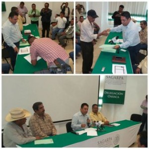 Ejercerán cerca de 53 mdp