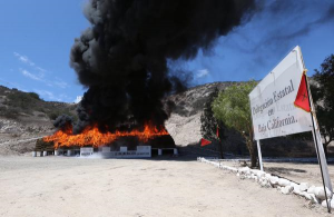 Narcoticos Incineración