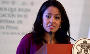 Dip Mariana Benítez Tiburcio