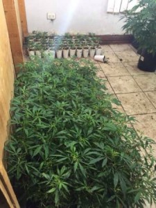 Cuatro personas fueron detenidas