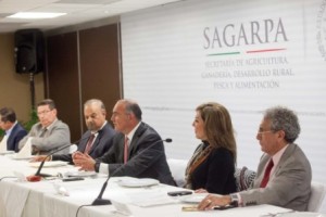 En el comercio mundial ya tratamos con EU y Canadá