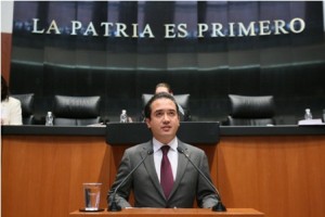 Senador de la República