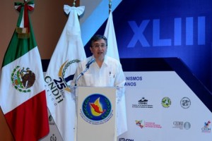 Presidente de la CNDH