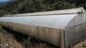 La orden de cateo se realizó con base a denuncias ciudadanas