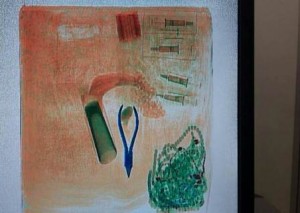 El aseguramiento se realizó con el apoyo de binomios caninos